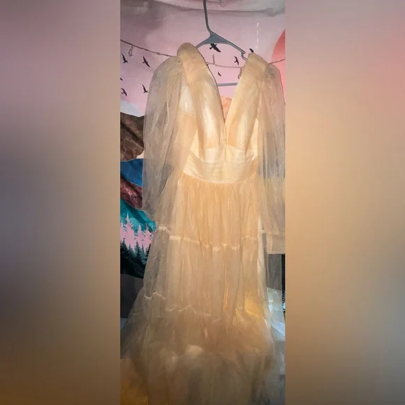 Elegant Peach Tulle Gown - Picture 2 of 3